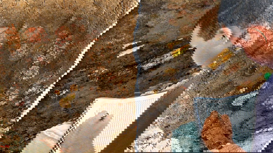 Archaeologists uncover gold-laden tomb filled with elite burial treasures from over 1,000 years ago