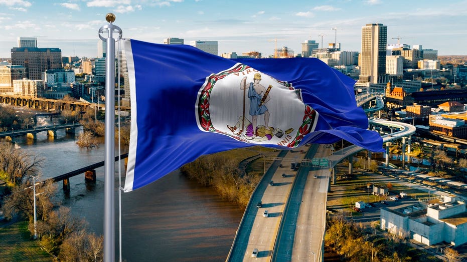 Dems select their candidate to face longtime GOP lawmaker who balked at Virginia redistricting