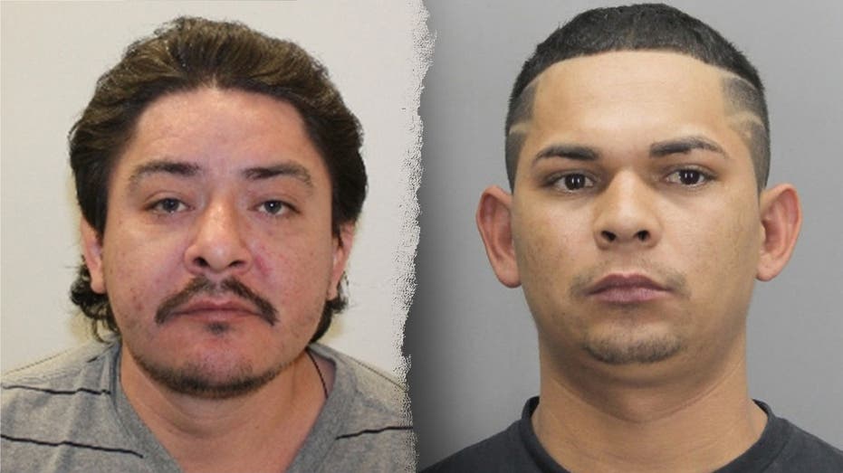 DHS slams 'insane' 5-year plea deal for illegal immigrants who admitted fatal stabbing in Virginia