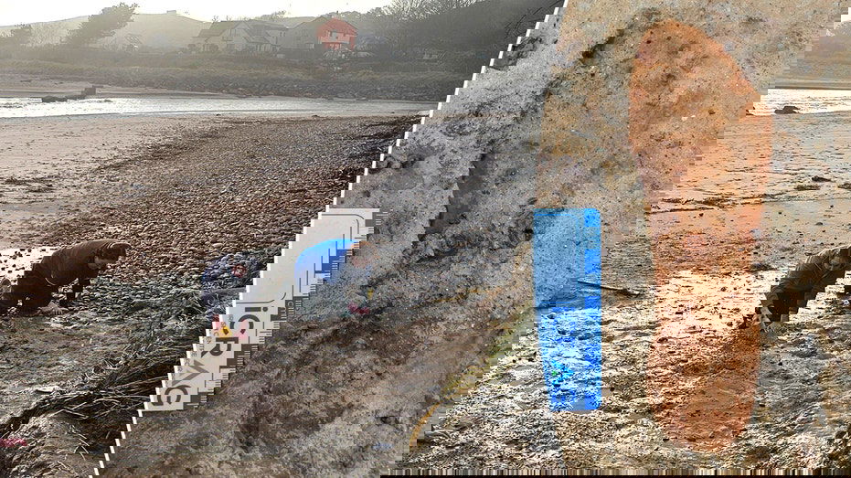 Dog walkers trigger archaeological race to preserve 2,000-year-old footprints in shifting sands