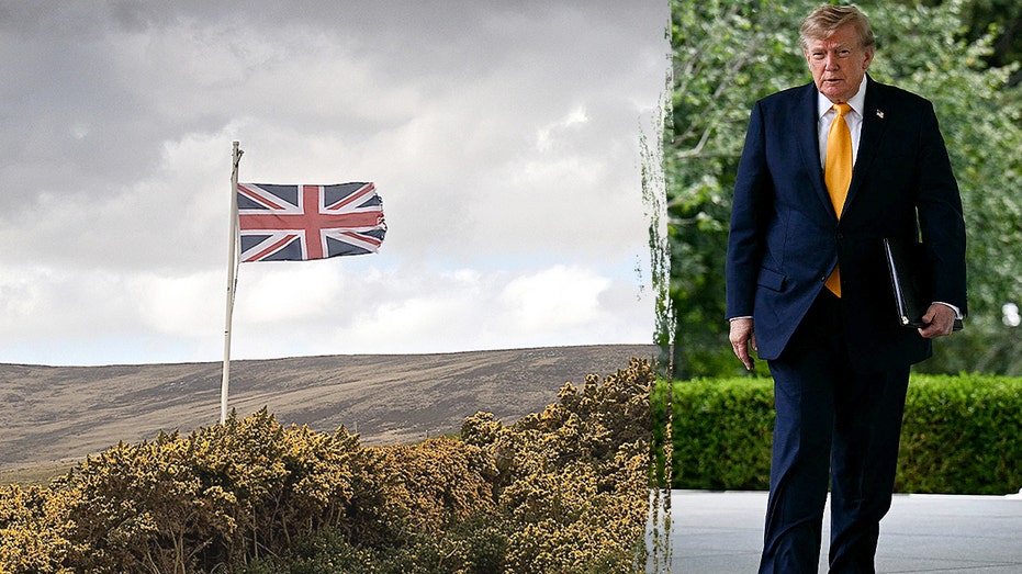 Ex-Pentagon official urges US to 'squeeze' UK on defense amid Falklands furor
