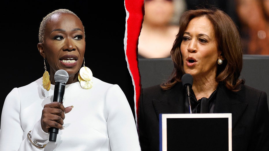 Far-left ex-MSNBC host argues Kamala Harris shouldn't run in 2028, cites Biden policy 'stain'