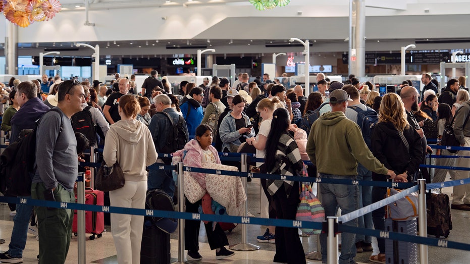 Flight passengers are paying strangers to stand in long TSA lines as chaos drags on