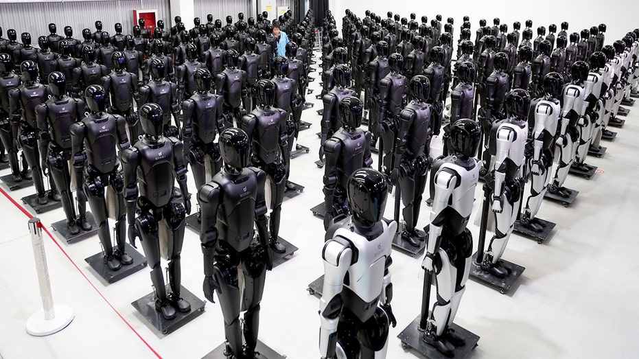Foreign robot ban targets China over security fears