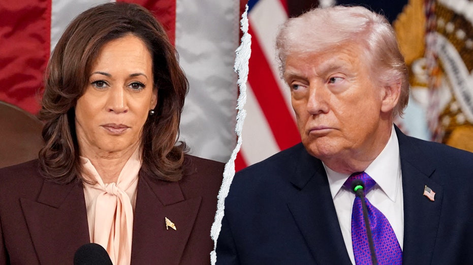 Harris blames Trump for rising gas prices - after once saying they're the 'price to pay for democracy'