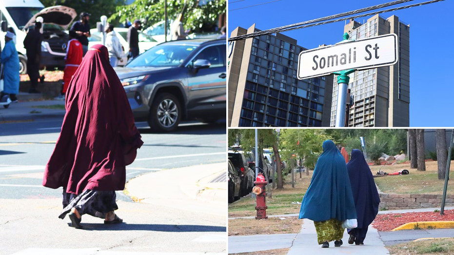 Inside 'Little Mogadishu': Minnesota's beleaguered Somali community under a cloud of fraud and Trump attacks
