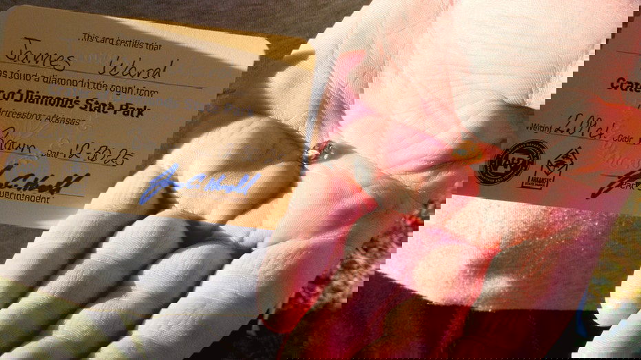 Man stumbles onto rare diamond treasure during Arkansas park trip with family: 'Knew it was different'