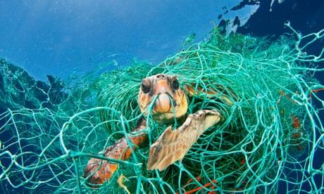 New study reveals ‘staggering’ scale of lost fishing gear drifting in Earth’s oceans