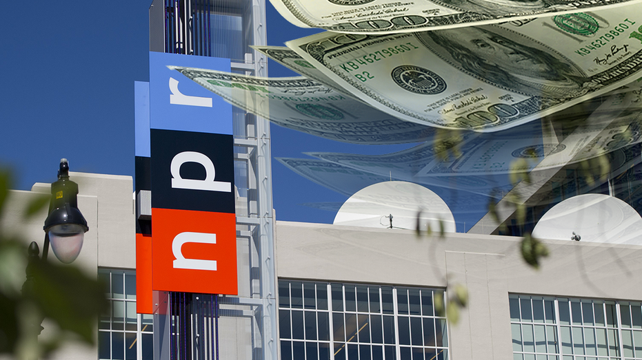 NPR gets $80 million gift from Democratic megadonor in major boost after losing government funding