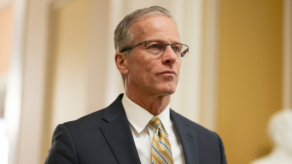 Reporter's Notebook: GOP clashes over 'skinny' vs 'obese' DHS bill as Trump agenda looms