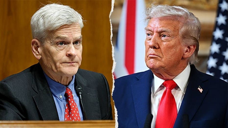 Republican breaks with Trump after primary loss, calls for 'steady, not erratic' leadership