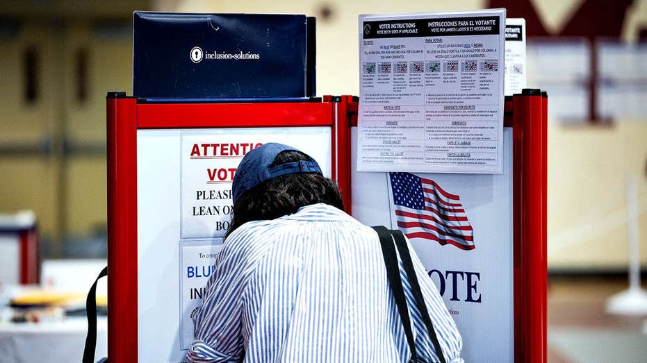 South Carolina mail-in voting law illegally discriminates, appeals court rules