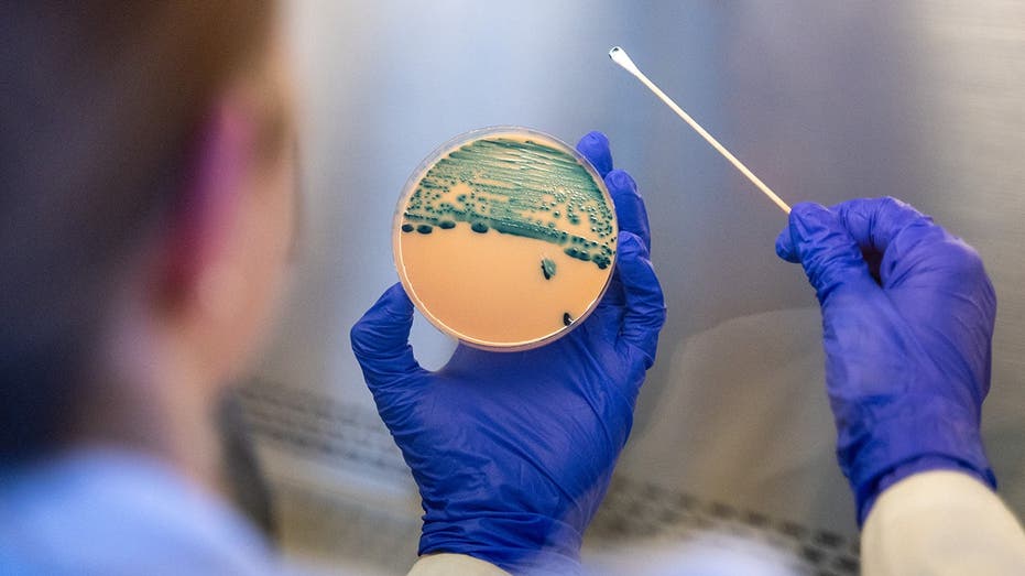 Stomach-turning sexually transmitted infection is on the rise - and standard medicines are failing