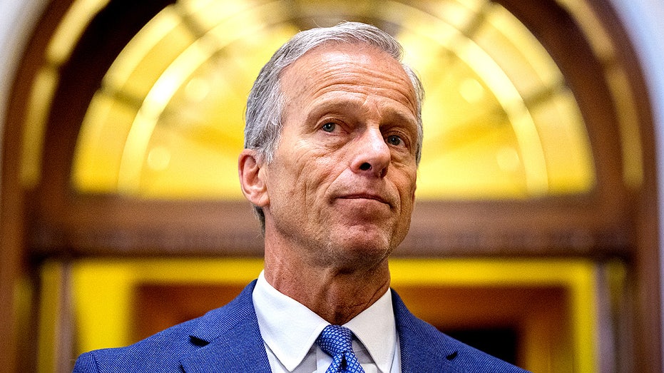 Top Senate Republican reveals why Democrats are 'stuck' as shutdown reaches day five