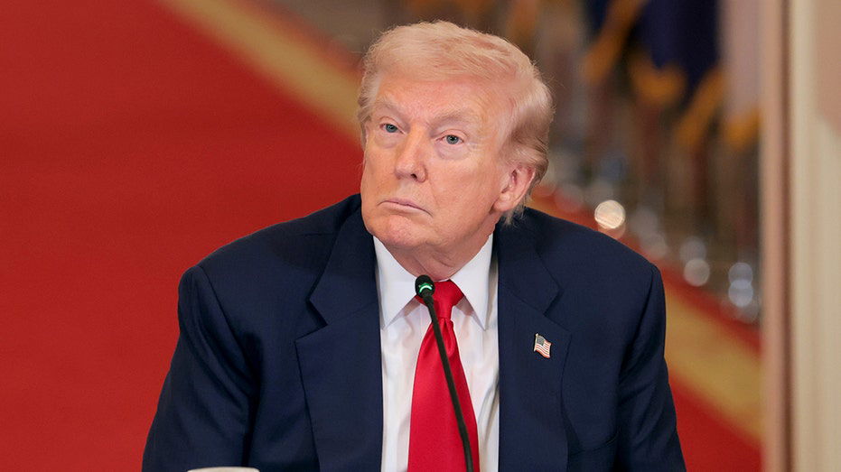 Trump says most NATO allies 'don't want to get involved' in Iran operation, but US 'NEVER' needed their help